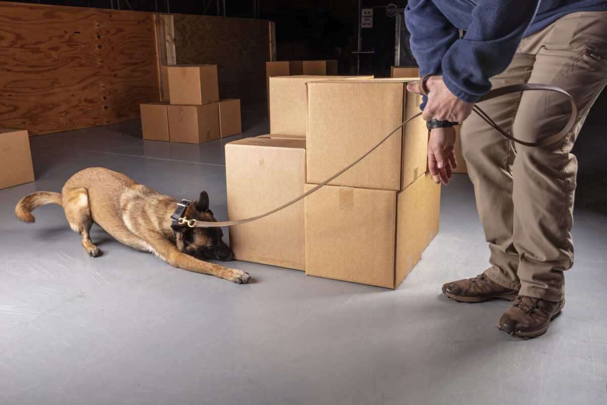Explosive/Narcotic/Patrol K-9s - Constellis